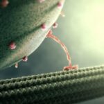 【キネシン】細胞も生きてる｜私達は独りじゃない