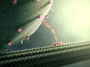 kinesin,キネシン