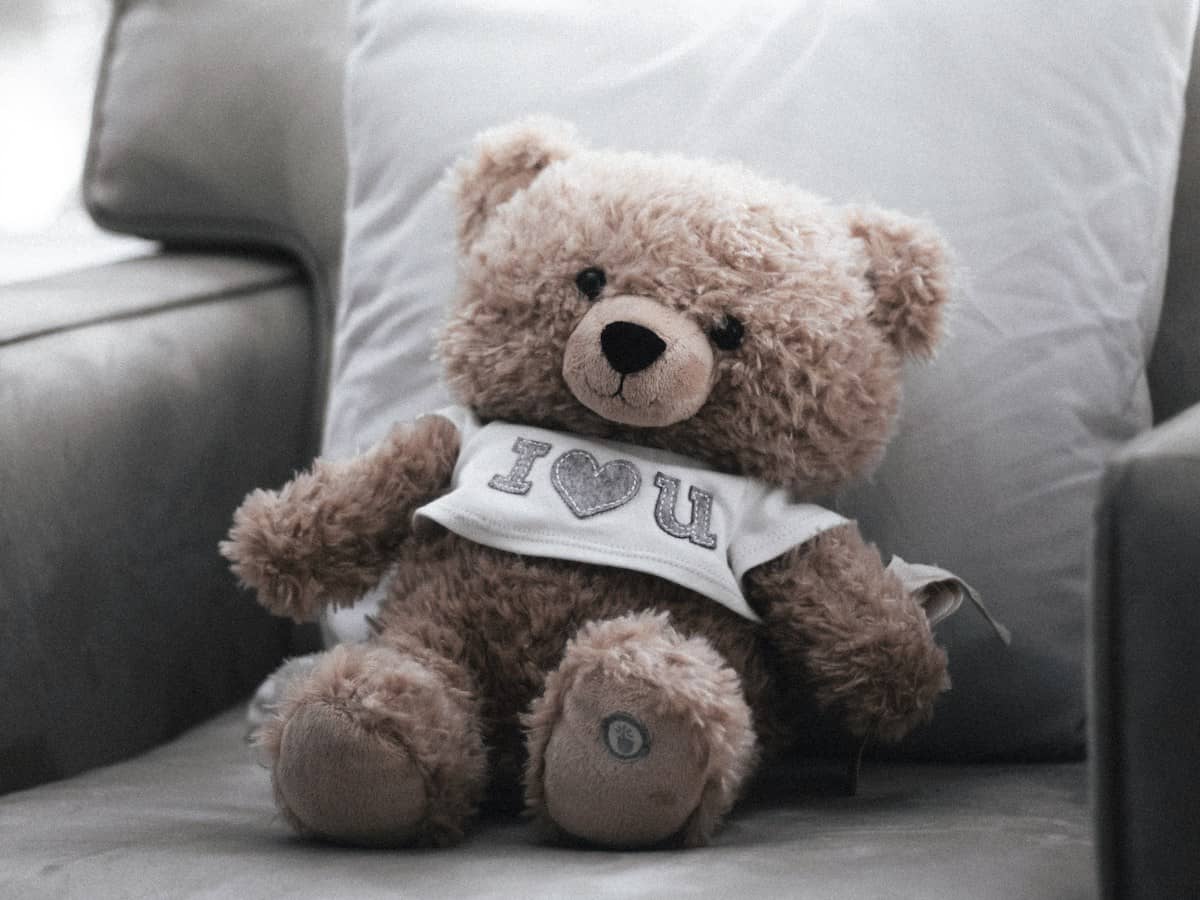 お金、ぬいぐるみ